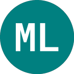 Logo of Merrill Lynch New Energy Tech (MNE).