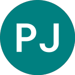 Logo of Perpetual Japanese (PJI).