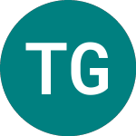 Logo of Tirupati Graphite (TGR).