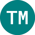 Logo of Technology Minerals (TM1).