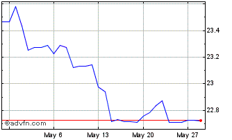1 Month US Dollar vs CZK Chart