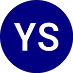 Logo of Yieldmax Short Tsla Opti... (CRSH).