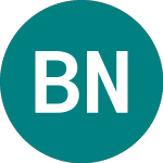 Logo of  (BNV).