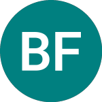Logo of Blackrock Frontiers Inve... (BRFI).