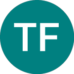 Logo of Ti Fluid Systems (TIFS).