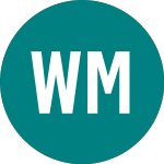 Logo of Wt Megatrends (WMGT).