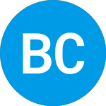 Logo of Blockchain Coinvestors A... (BCSAW).