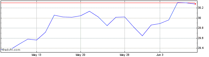 1 Month Global X S&P 500 Tail Ri...  Price Chart