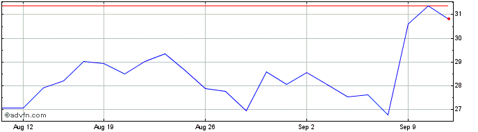 1 Month Palantir Technologies Share Price Chart