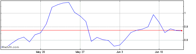 1 Month BinaryX  Price Chart