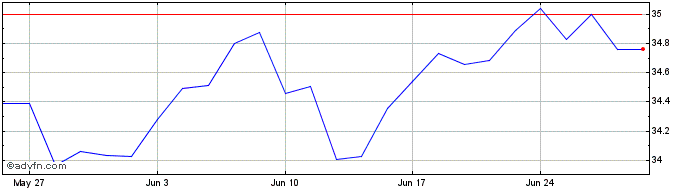 1 Month IN XTK MSCI USA CON ST LS  Price Chart