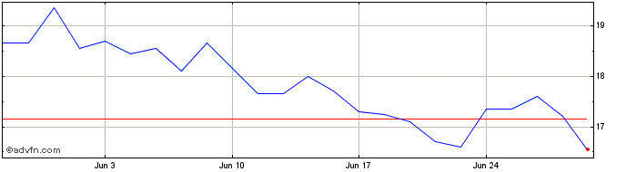 1 Month Li Auto Share Price Chart