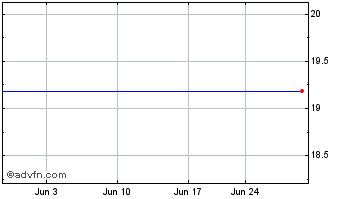 1 Month Ntelos Holdings Corp. (MM) Chart
