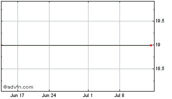 1 Month Terremark Worldwide, Inc. (MM) Chart