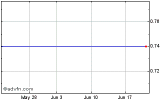 1 Month Mgc Capital (MM) Chart