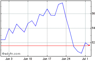 1 Month Birkenstock Chart