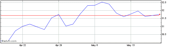 1 Month iShares MSCI Brazil ETF  Price Chart