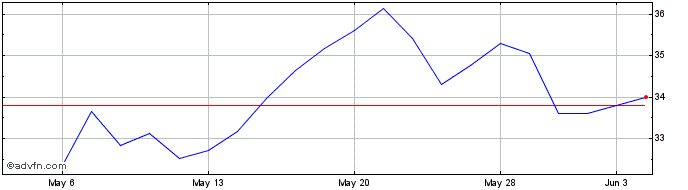 1 Month T Rex 2x Long Alphabet D...  Price Chart