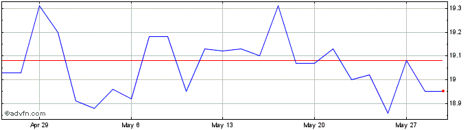 1 Month VanEck Investments  Price Chart