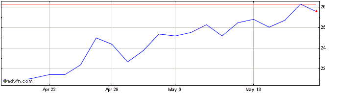1 Month DIRECIONAL ON Share Price Chart
