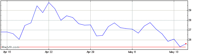 1 Month Dash  Price Chart