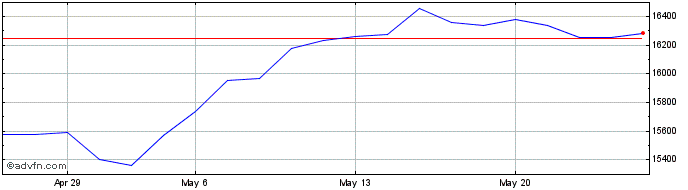 1 Month DAX Gross Return USD  Price Chart