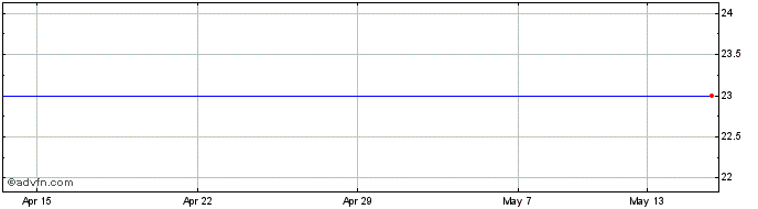1 Month Protonex Technology Share Price Chart