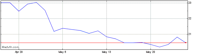 1 Month Direxion Daily AAPL ETF  Price Chart