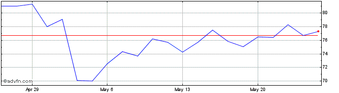 1 Month Bruker Share Price Chart