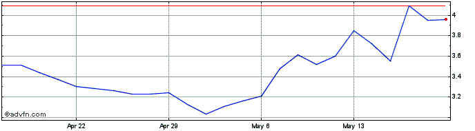 1 Month Castor Maritime Share Price Chart