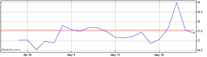 1 Month Lakeland Industries Share Price Chart