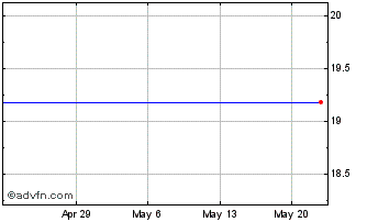 1 Month Ntelos Holdings Corp. (MM) Chart