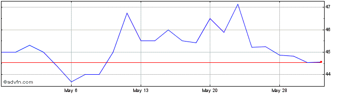 1 Month PhenixFIN Share Price Chart