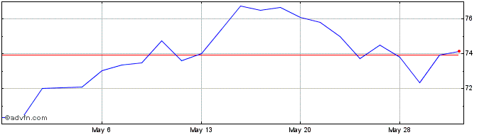 1 Month Triumph Financial Share Price Chart