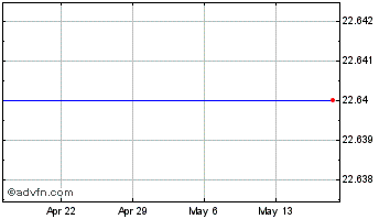 1 Month Usmd Holdings, Inc. (MM) Chart