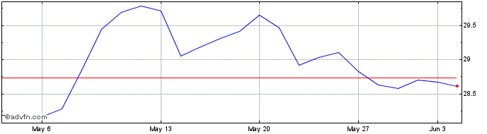 1 Month Koninklijke Ahold Delhai... Share Price Chart